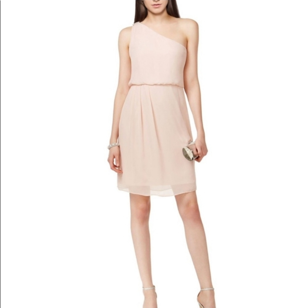 NWT Adrianna Papell One Shoulder Chiffon Dress